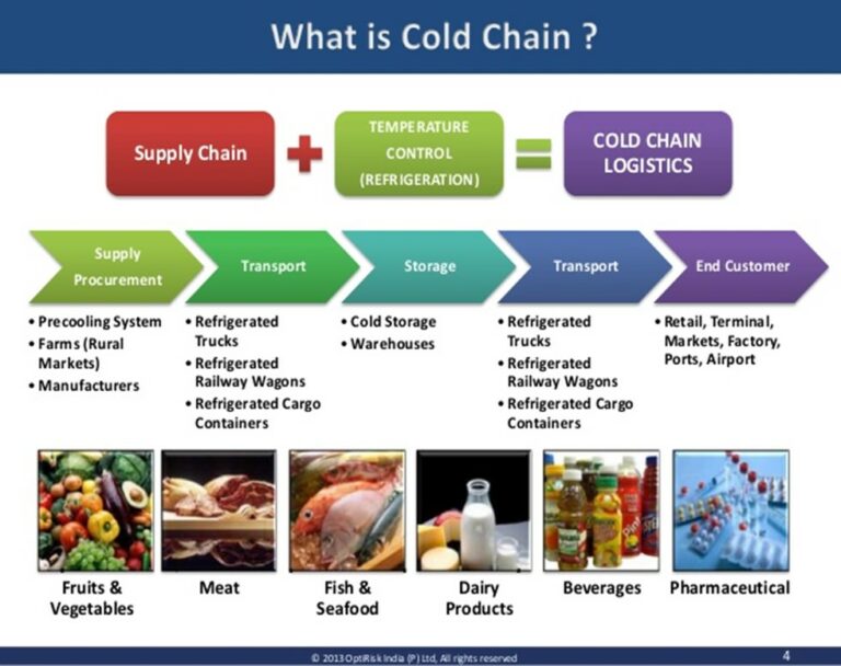 The Logistics of Transporting Perishable Goods for Cold Chain ...