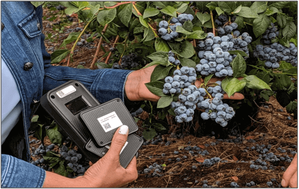 iot-solutions in farming