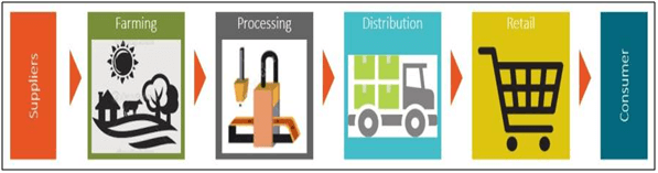 Agricultural Supply Chain