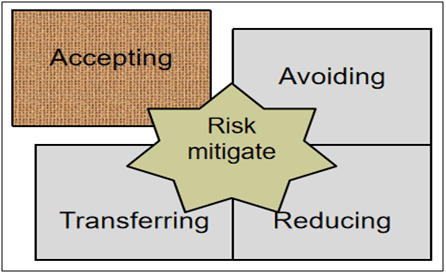 Risk Mitigate