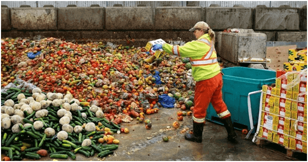 Eliminating Waste in Procurement