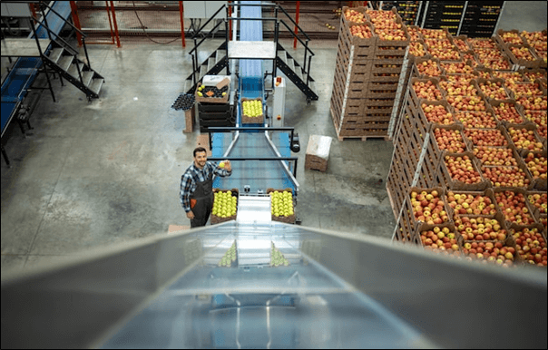 worker working production line