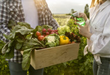 Key Challenges for Sustainability in the Food & Beverage Industry